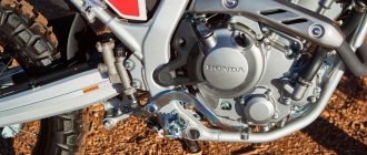 Honda CRF300L 2021 and CRF300L Rally 2021. Test and review