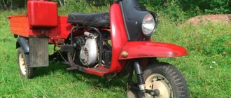 Motor scooter Ant 2M