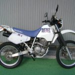 Appearance of the first generation Suzuki Djebel 250 motorcycle